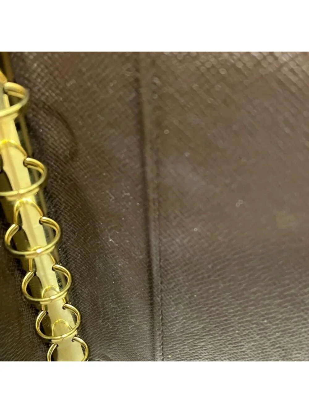 Louis Vuitton brand louis
